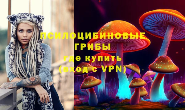 герыч Алексин