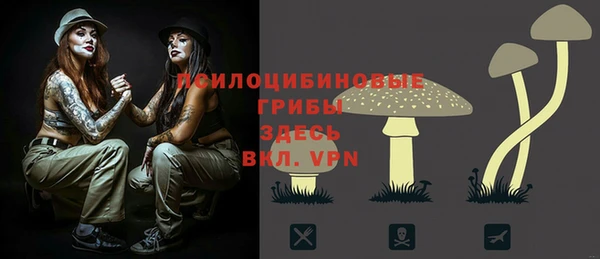 герыч Алексин