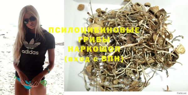 винт Нея