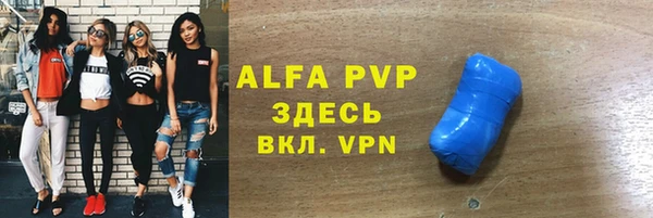 стафф Алзамай