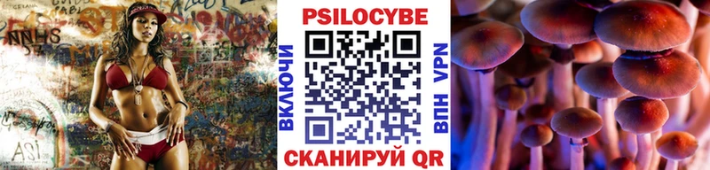 Псилоцибиновые грибы GOLDEN TEACHER  ОМГ ОМГ сайт  Алушта 